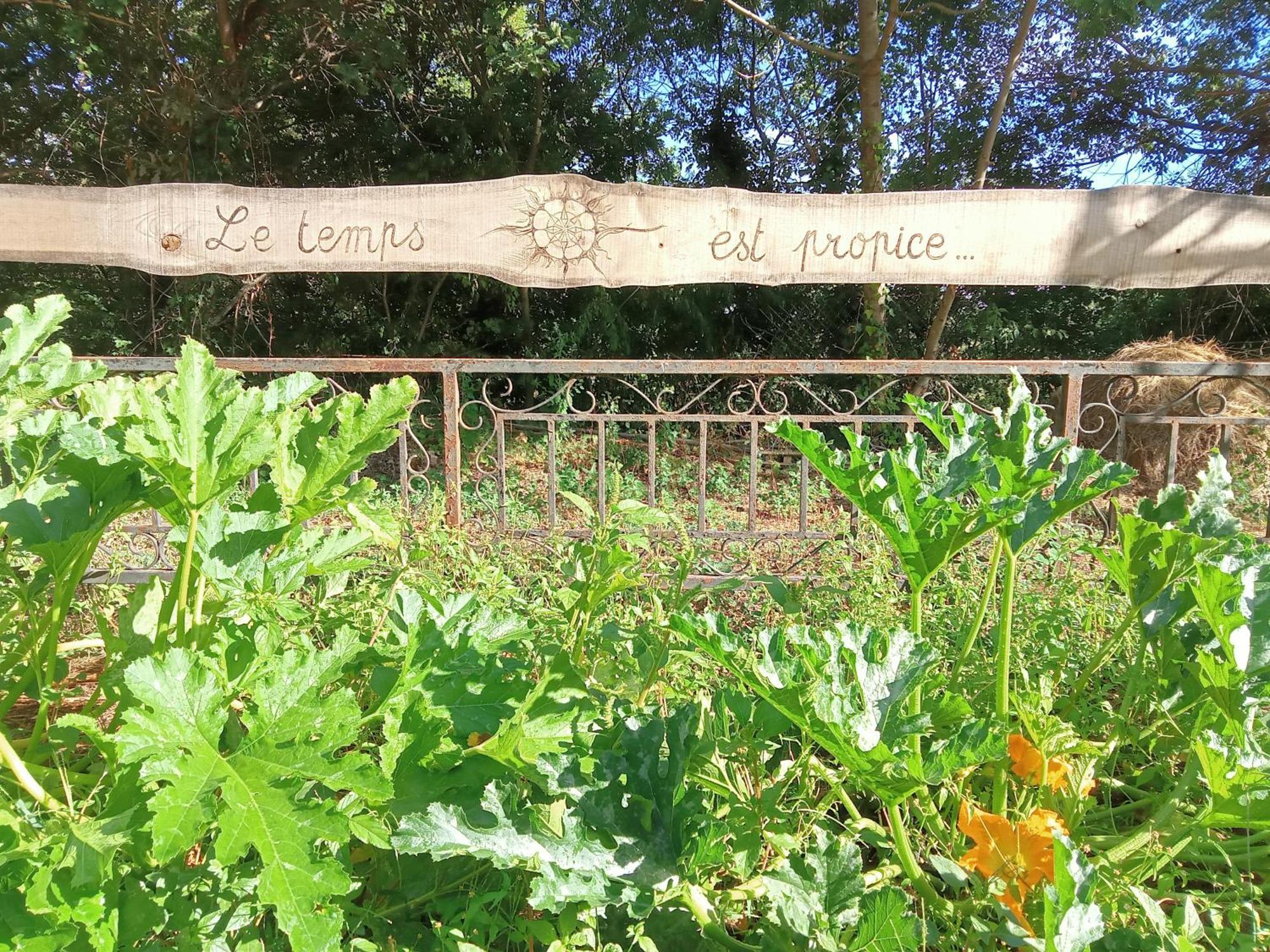 La Forge Villa Escaro Eksteriør bilde